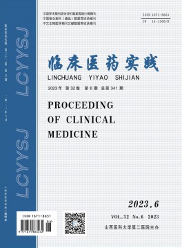 臨床醫(yī)藥實踐