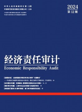 經(jīng)濟(jì)責(zé)任審計(jì)